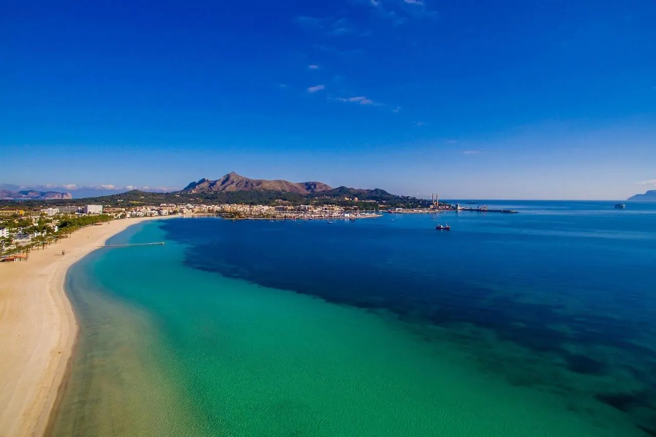 Concha Id:52805 Apartment Port de Alcudia  Spain